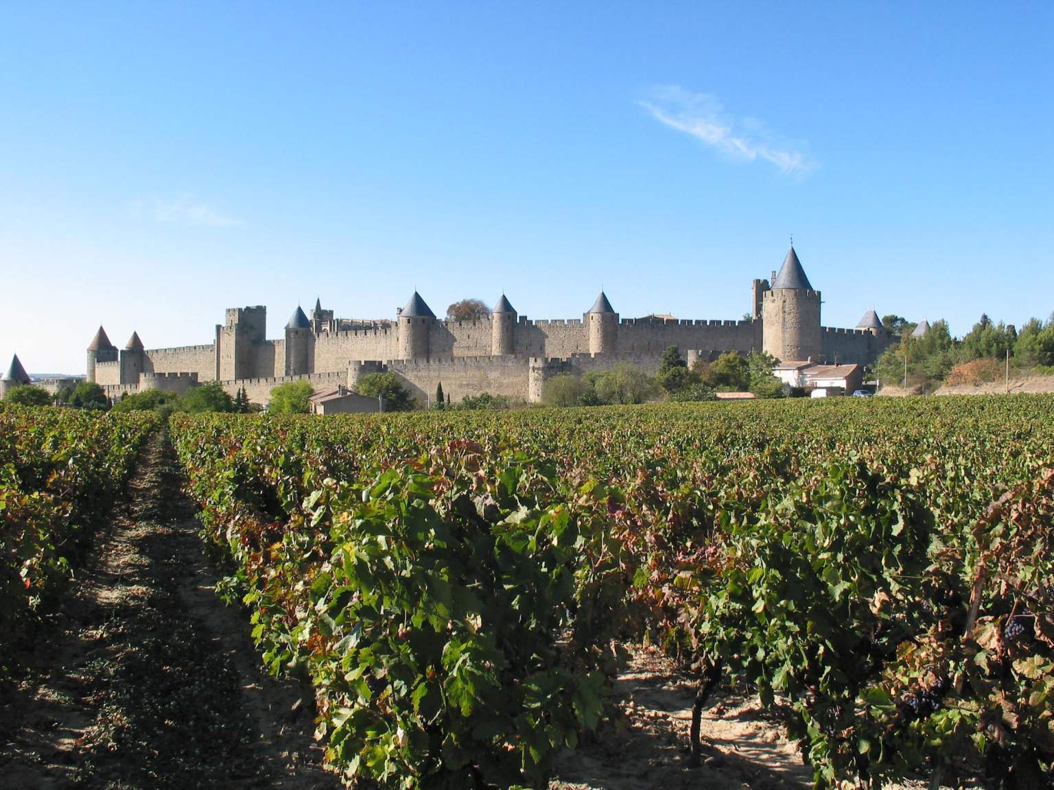 Tourisme Pays Cathare, Vignes de Carcassonne 