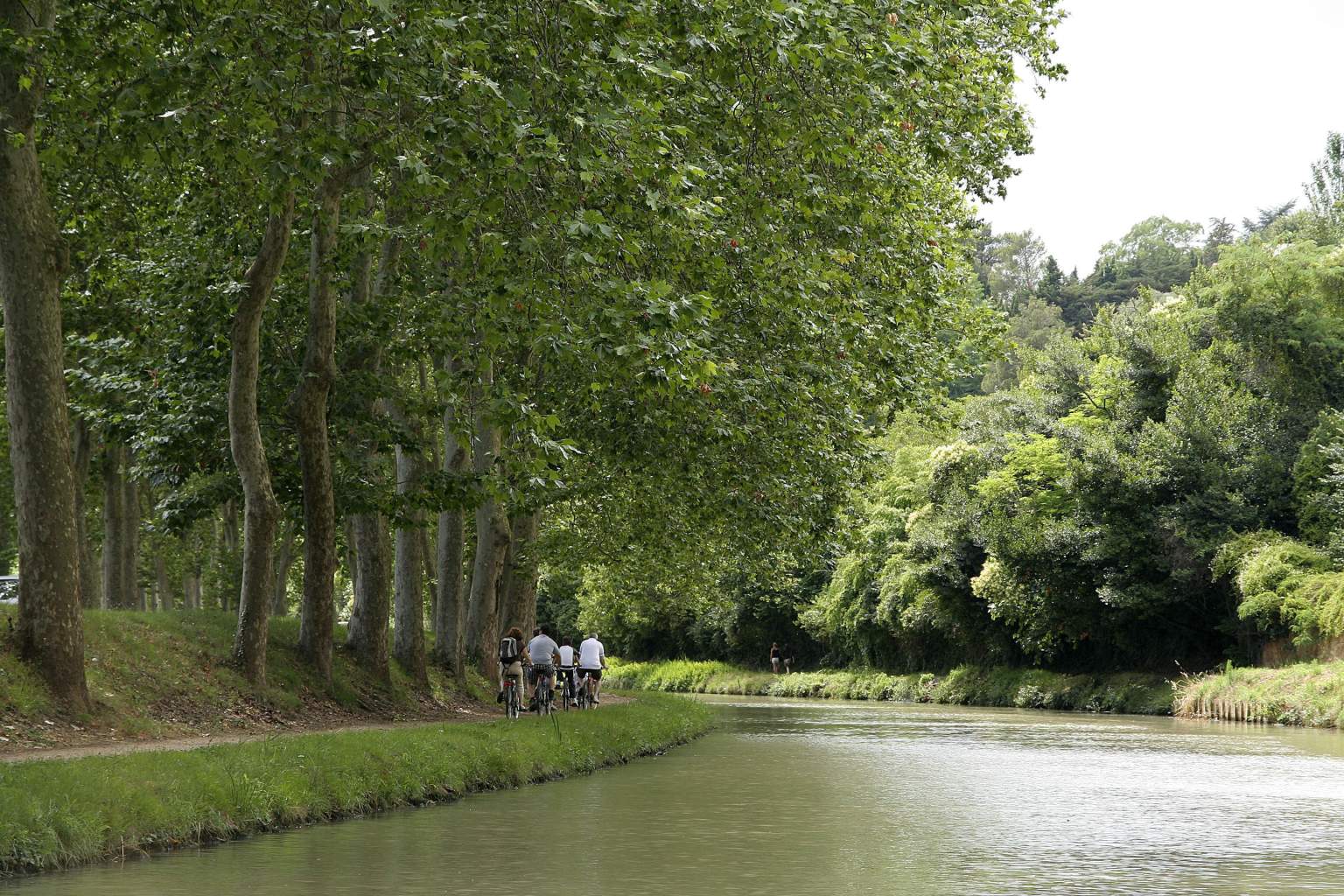 Canal du Midi Carcasonne, Tourisme Pays Cathare 